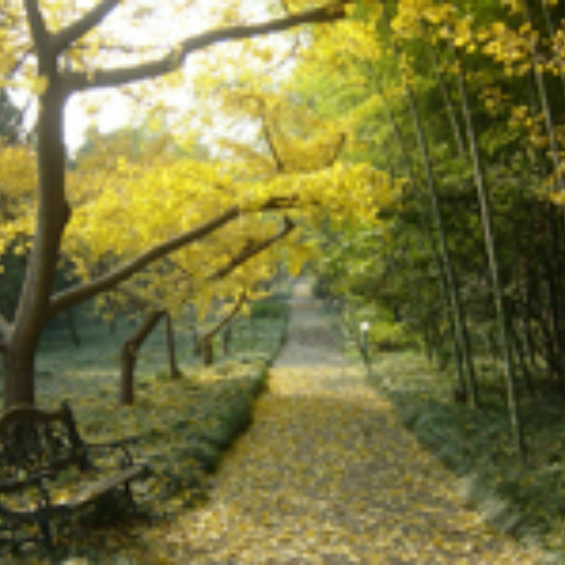 Wuxi Taihu Hotel Bagian luar foto